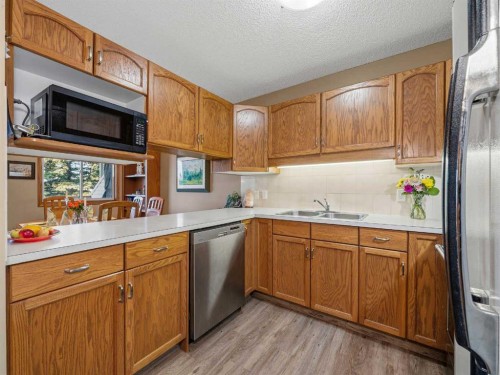 12 Deer Ridge Close Se, Calgary, AB - Indoor Photo Showing Kitchen With Double Sink