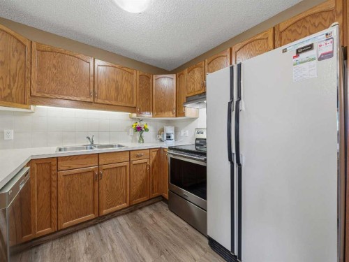 12 Deer Ridge Close Se, Calgary, AB - Indoor Photo Showing Kitchen With Double Sink