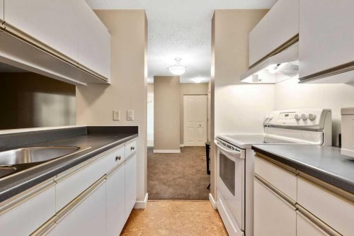 113-10 Dover Point Se, Calgary, AB 