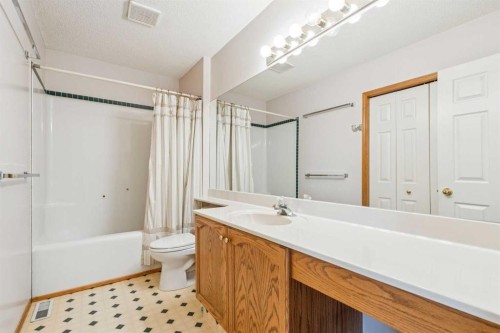 42 Harvest Oak Circle Ne, Calgary, AB - Indoor Photo Showing Bathroom