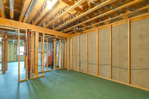 42 Harvest Oak Circle Ne, Calgary, AB - Indoor Photo Showing Basement