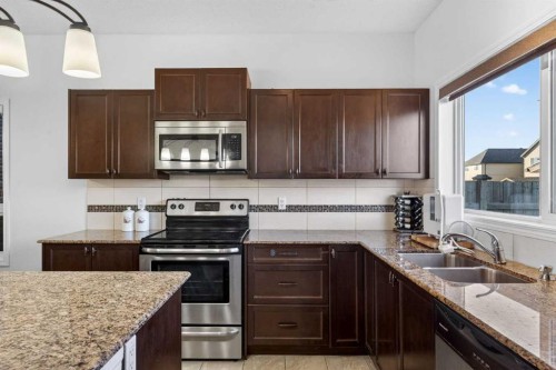 257 Skyview Ranch Boulevard Ne, Calgary, AB - Indoor Photo Showing Kitchen With Double Sink