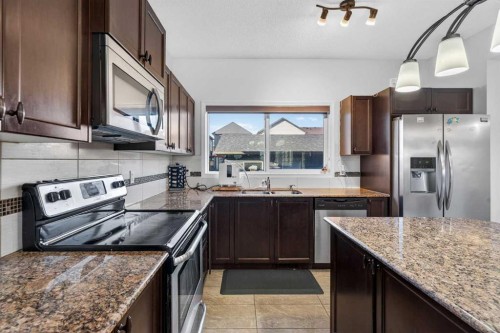 257 Skyview Ranch Boulevard Ne, Calgary, AB - Indoor Photo Showing Kitchen With Double Sink With Upgraded Kitchen