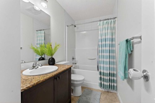257 Skyview Ranch Boulevard Ne, Calgary, AB - Indoor Photo Showing Bathroom
