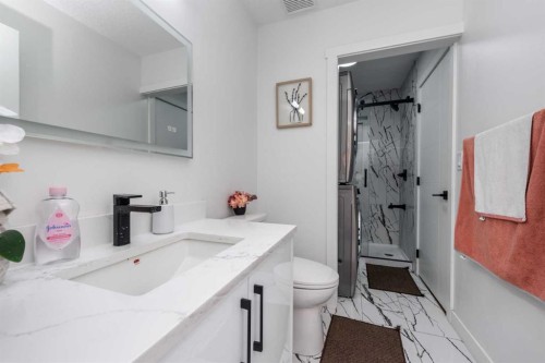 133 Woodbrook Road Sw, Calgary, AB - Indoor Photo Showing Bathroom