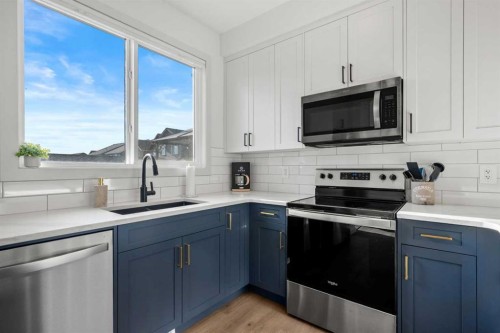 161 Lavender Manor Se, Calgary, AB - Indoor Photo Showing Kitchen With Double Sink With Upgraded Kitchen