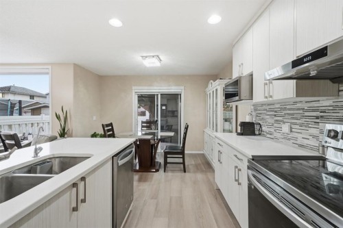 131 San Fernando Crescent Ne, Calgary, AB - Indoor Photo Showing Kitchen With Double Sink With Upgraded Kitchen