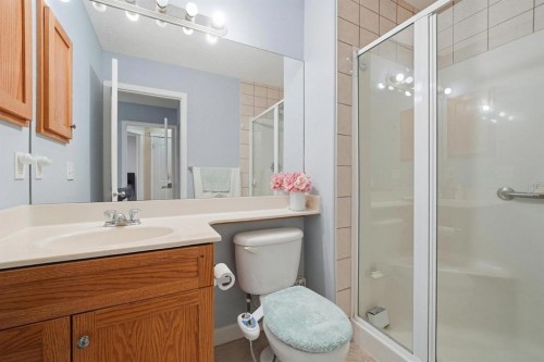 131 San Fernando Crescent Ne, Calgary, AB - Indoor Photo Showing Bathroom