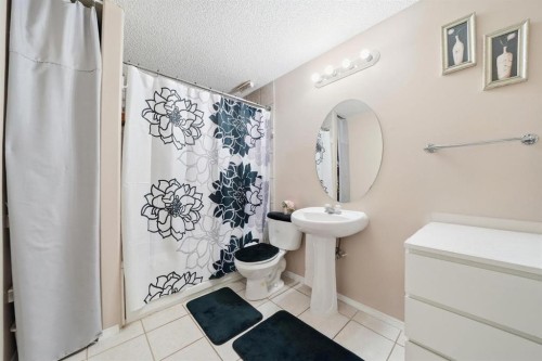 131 San Fernando Crescent Ne, Calgary, AB - Indoor Photo Showing Bathroom