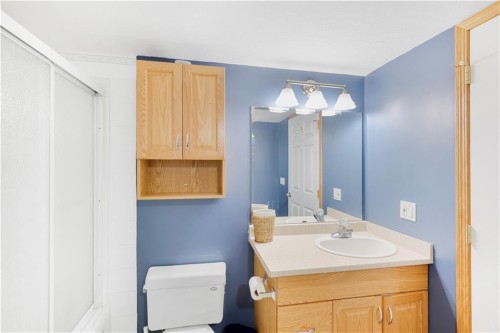 272210 Range Road 291 Ne, Airdrie, AB - Indoor Photo Showing Bathroom