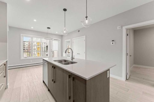 3206-60 Skyview Ranch Road Ne, Calgary, AB - Indoor Photo Showing Kitchen With Double Sink