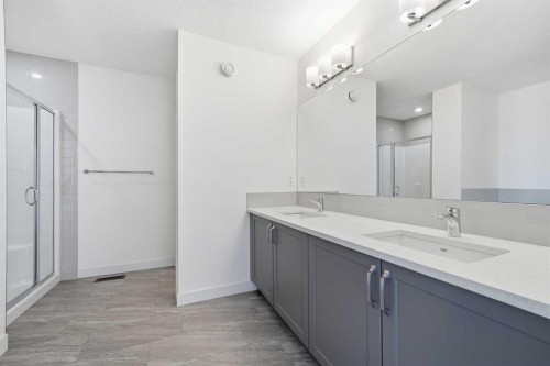 276 Belvedere Drive, Calgary, AB - Indoor Photo Showing Bathroom