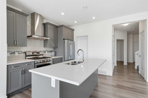 276 Belvedere Drive, Calgary, AB - Indoor Photo Showing Kitchen With Stainless Steel Kitchen With Double Sink With Upgraded Kitchen