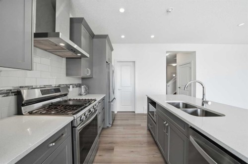 276 Belvedere Drive, Calgary, AB - Indoor Photo Showing Kitchen With Double Sink With Upgraded Kitchen