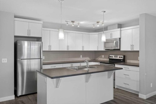 307 Skyview Ranch Grove Ne, Calgary, AB - Indoor Photo Showing Kitchen With Double Sink With Upgraded Kitchen
