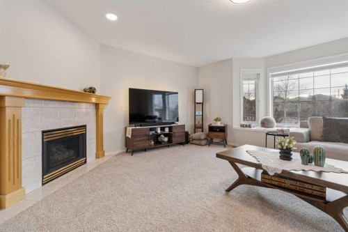328 Douglas Glen Heath Se, Calgary, AB - Indoor Photo Showing Living Room With Fireplace