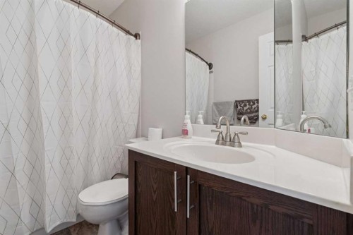 328 Douglas Glen Heath Se, Calgary, AB - Indoor Photo Showing Bathroom