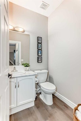 335 Morningside Crescent Sw, Airdrie, AB - Indoor Photo Showing Bathroom