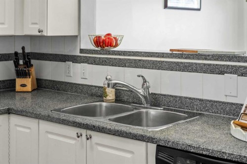 192 Mt Aberdeen Circle Se, Calgary, AB - Indoor Photo Showing Kitchen With Double Sink