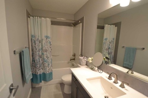 613 Hillcrest Road Sw, Airdrie, AB - Indoor Photo Showing Bathroom