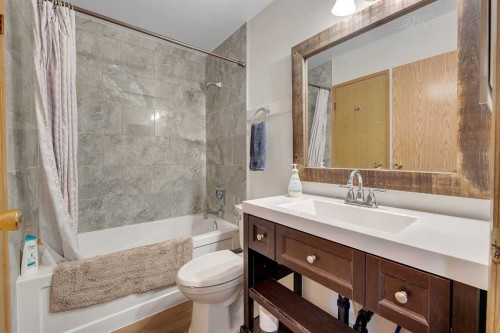 192 Rivercrest Close Se, Calgary, AB - Indoor Photo Showing Bathroom
