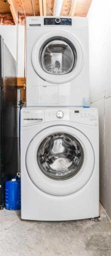 6420 26 Avenue Ne, Calgary, AB - Indoor Photo Showing Laundry Room