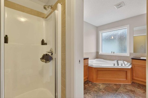 344 Windermere Drive, Chestermere, AB - Indoor Photo Showing Bathroom