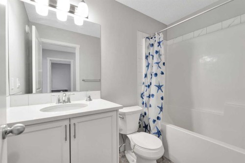 106 Lucas Crescent Nw, Calgary, AB - Indoor Photo Showing Bathroom