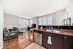 1115-1053 10 Street SW Calgary, AB T2R 1S6