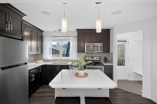 61 Auburn Meadows View Se, Calgary, AB - Indoor Photo Showing Kitchen With Stainless Steel Kitchen With Upgraded Kitchen