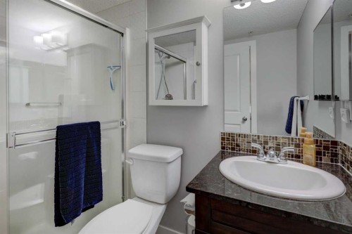 3301-403 Mackenzie Way Sw, Airdrie, AB - Indoor Photo Showing Bathroom