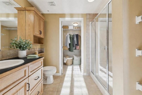 417-15 Everstone Drive Sw, Calgary, AB - Indoor Photo Showing Bathroom