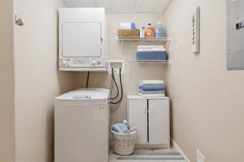 417-15 Everstone Drive Sw, Calgary, AB - Indoor Photo Showing Laundry Room