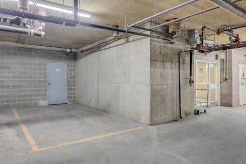 417-15 Everstone Drive Sw, Calgary, AB - Indoor Photo Showing Garage