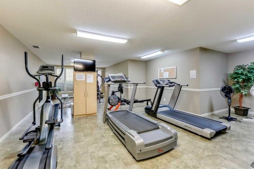 417-15 Everstone Drive Sw, Calgary, AB - Indoor Photo Showing Gym Room