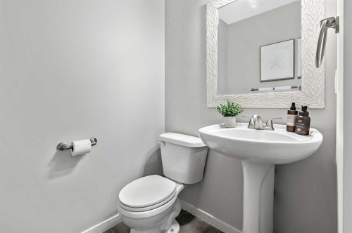 6 Autumn Green Se, Calgary, AB - Indoor Photo Showing Bathroom