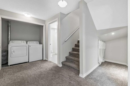 6 Autumn Green Se, Calgary, AB - Indoor Photo Showing Laundry Room