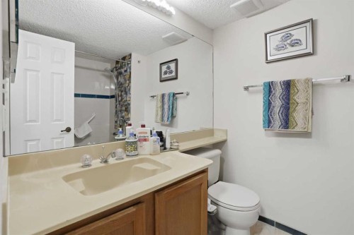 225-2425 90 Avenue Sw, Calgary, AB - Indoor Photo Showing Bathroom