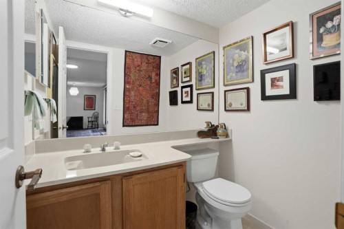 225-2425 90 Avenue Sw, Calgary, AB - Indoor Photo Showing Bathroom