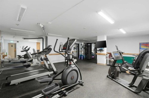 225-2425 90 Avenue Sw, Calgary, AB - Indoor Photo Showing Gym Room
