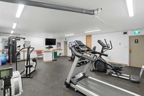 225-2425 90 Avenue Sw, Calgary, AB - Indoor Photo Showing Gym Room