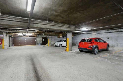 225-2425 90 Avenue Sw, Calgary, AB - Indoor Photo Showing Garage