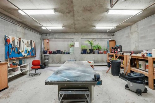 225-2425 90 Avenue Sw, Calgary, AB - Indoor Photo Showing Garage