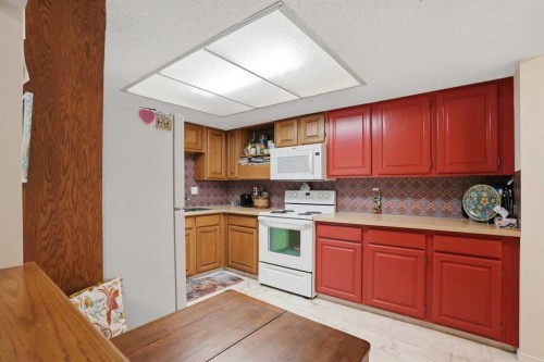 225-2425 90 Avenue Sw, Calgary, AB - Indoor Photo Showing Kitchen