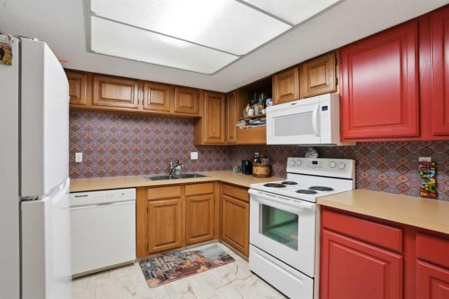 225-2425 90 Avenue Sw, Calgary, AB - Indoor Photo Showing Kitchen With Double Sink