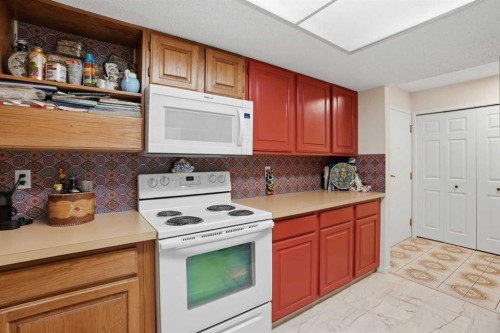 225-2425 90 Avenue Sw, Calgary, AB - Indoor Photo Showing Kitchen
