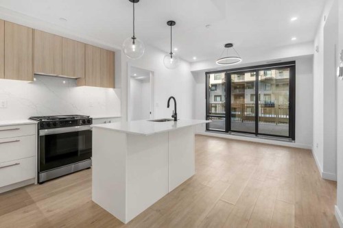 306-8375 Broadcast Avenue, Calgary, AB - Indoor Photo Showing Kitchen With Upgraded Kitchen