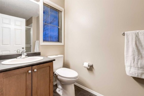 142 Eversyde Common Sw, Calgary, AB - Indoor Photo Showing Bathroom