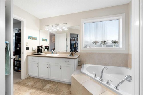 46 Autumn Circle Se, Calgary, AB - Indoor Photo Showing Bathroom