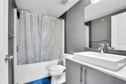6415-302 Skyview Ranch Drive Ne, Calgary, AB - Indoor Photo Showing Bathroom